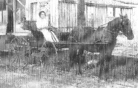 Olive Katherine (Katie) Frederick